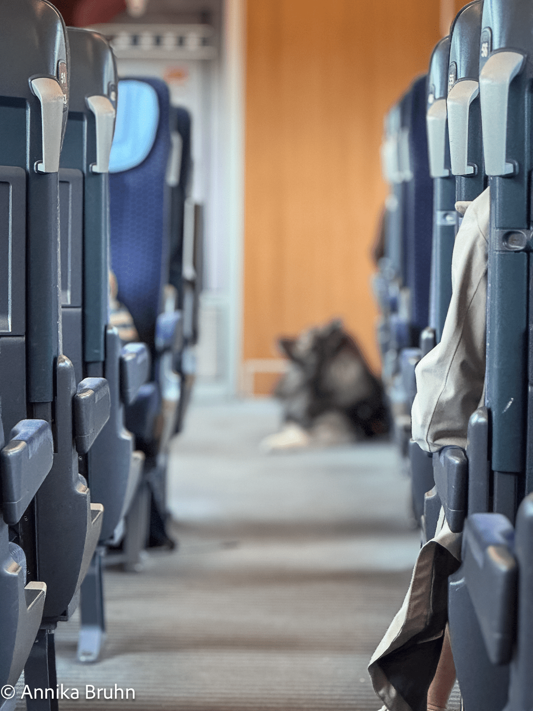 Q auf großer Reise mit der Bahn